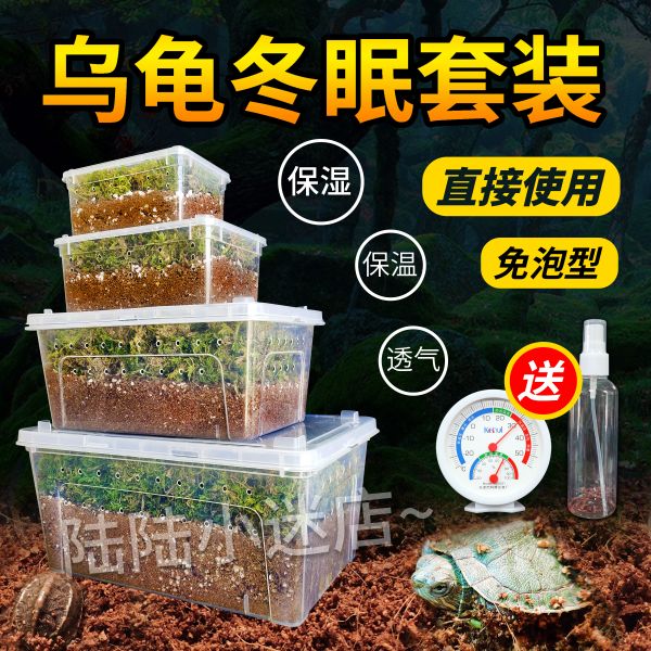 陆陆爬宠冬眠乌龟椰土爬虫过冬