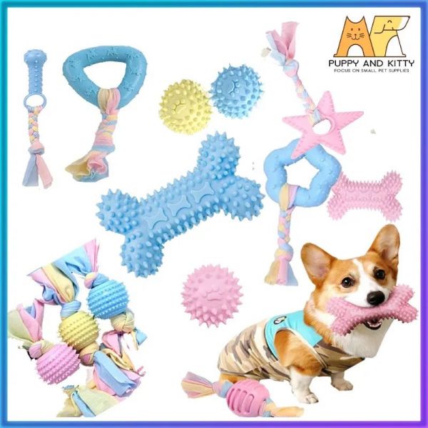 Shopee爆款选品：宠物不止猫猫狗狗，其他宠物配件周销量也有5000+