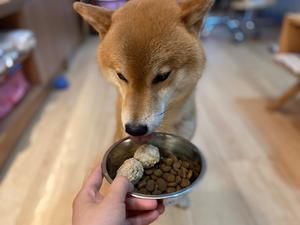 狗狗的夏季辅食的做法 步骤5