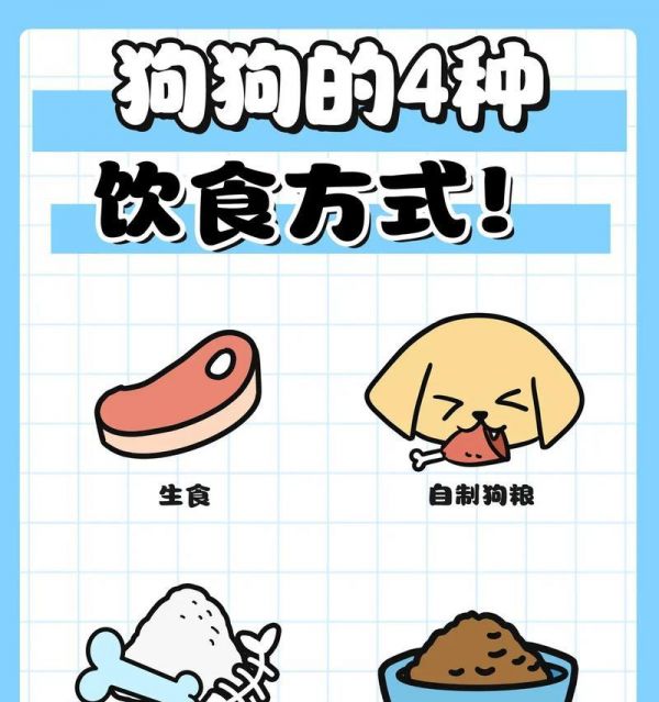 狗狗清热食物大揭秘（以狗狗清热吃什么为主题的营养指南）