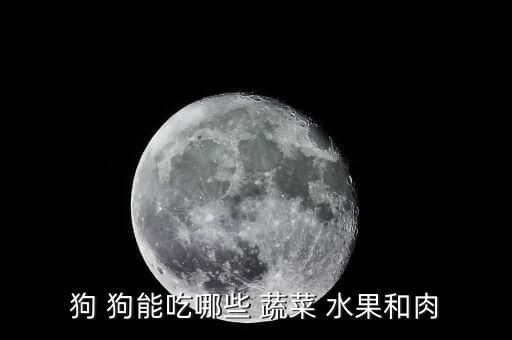 狗 狗能吃哪些 蔬菜 水果和肉
