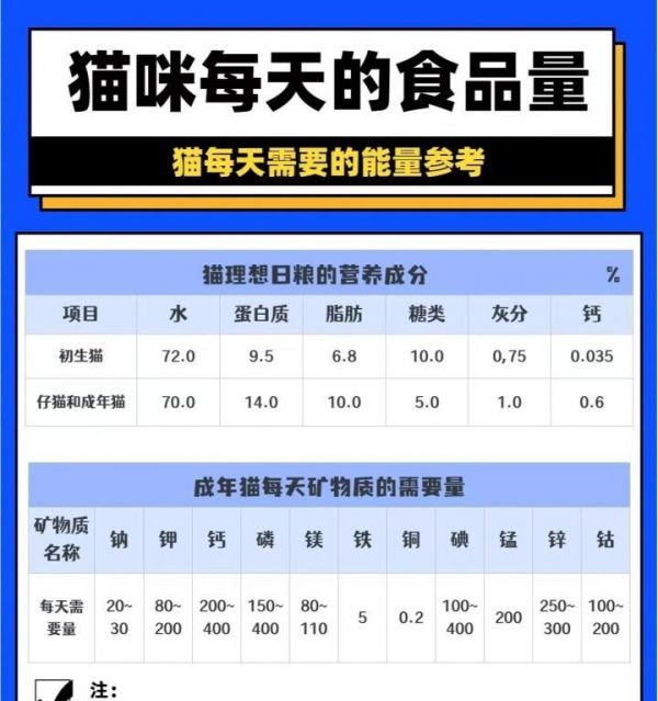 低脂肪猫粮的选择标准是什么？如何确保猫咪营养均衡？