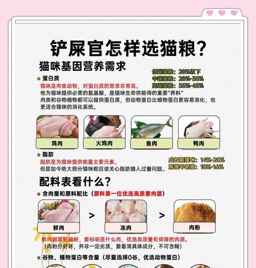 低脂肪猫粮的选择标准是什么？如何确保猫咪营养均衡？