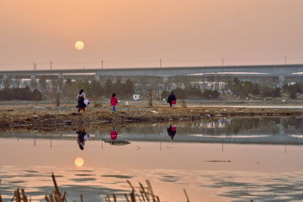 北京可以带宠物的7大公园，带着狗狗来散步，夏日避暑两不误