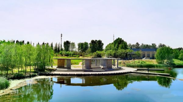 北京可以带宠物的7大公园，带着狗狗来散步，夏日避暑两不误