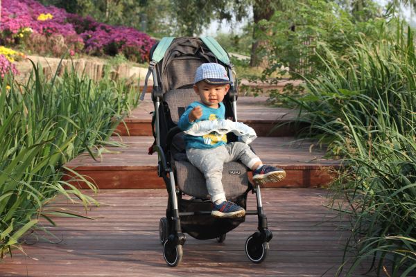 北京可以带宠物的7大公园，带着狗狗来散步，夏日避暑两不误