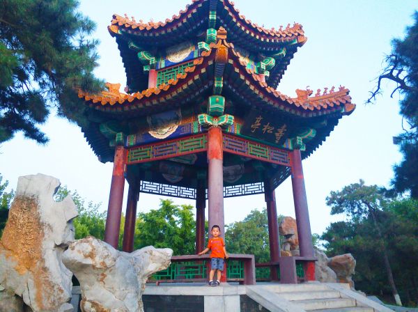 北京可以带宠物的7大公园，带着狗狗来散步，夏日避暑两不误