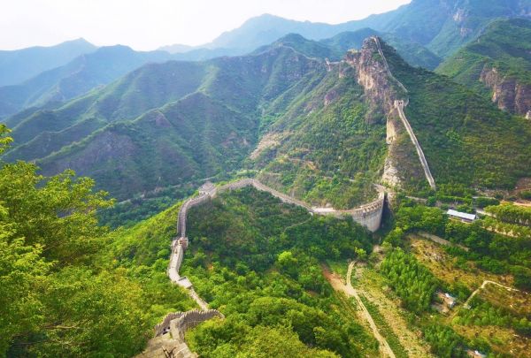 北京可以带宠物的7大公园，带着狗狗来散步，夏日避暑两不误