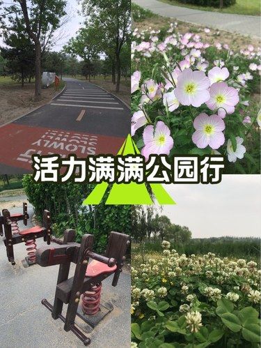 公园漫步心情好