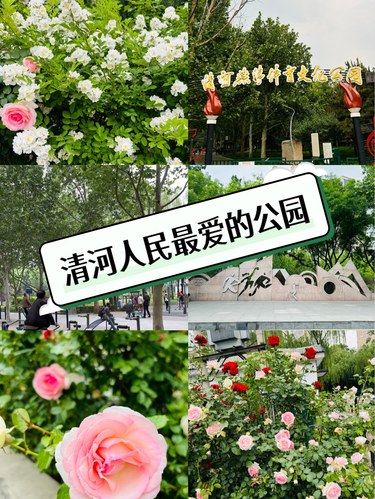 海淀清河最受欢迎得公园