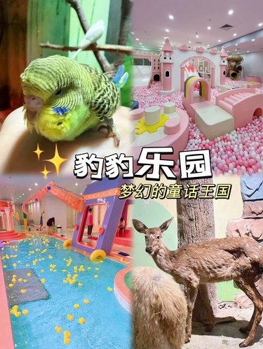 ✨豹豹乐园｜梦幻的童话王国 