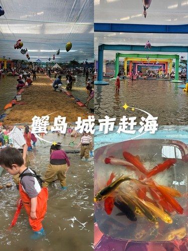 蟹岛城市赶海｜不出京也能体验的赶海乐趣