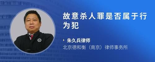 故意杀人罪是否属于行为犯