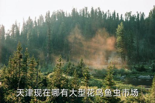 天津现在哪有大型花鸟鱼虫市场