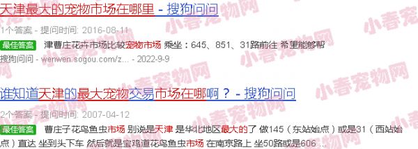 天津最大的宠物市场在哪