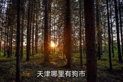 天津哪里有狗市