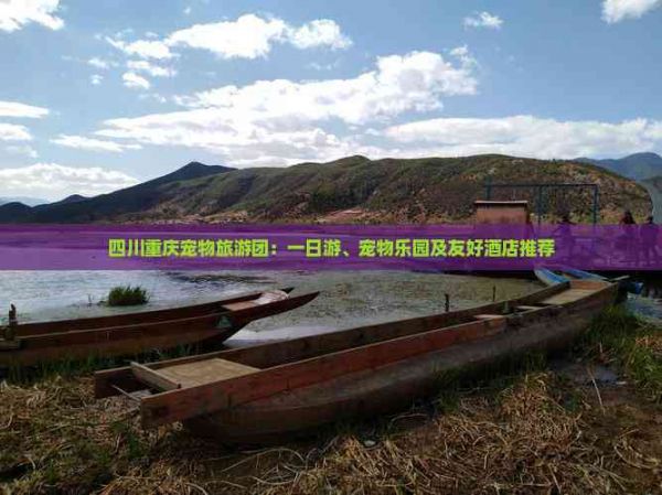 四川重庆宠物旅游团：一日游、宠物乐园及友好酒店推荐