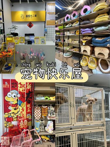 温州一站式宠物店get✅