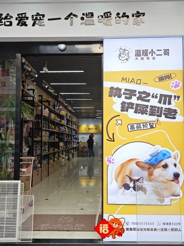 我家的猫猫有福啦！！温州的宠物超市超好逛～