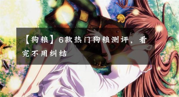 【狗粮】6款热门狗粮测评，看完不用纠结文章配图