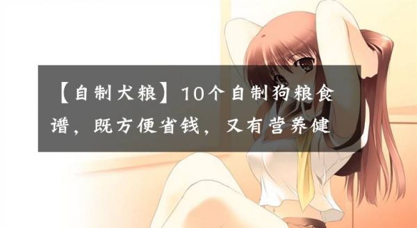 【自制犬粮】10个自制狗粮食谱，既方便省钱，又有营养健康文章配图