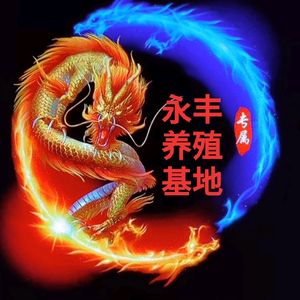 龟萌宠类养殖基地头像