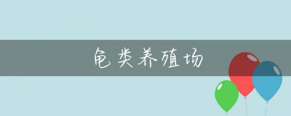 龟类养殖场-第1张图片-彗行畜牧