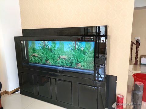 鱼缸清洗消毒换水维修定制·专业鱼缸清洗消毒换水维修搬运定制器材设备，全长春上门