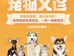 宠物到家，快速训练指南！