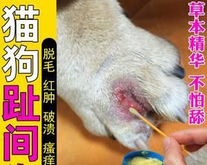宠物狗脚趾间囊肿治疗（了解狗狗脚趾间囊肿的成因）