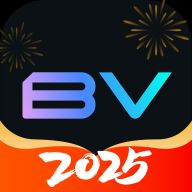 Bigverse
