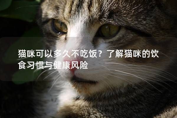 猫咪可以多久不吃饭？了解猫咪的饮食习惯与健康风险