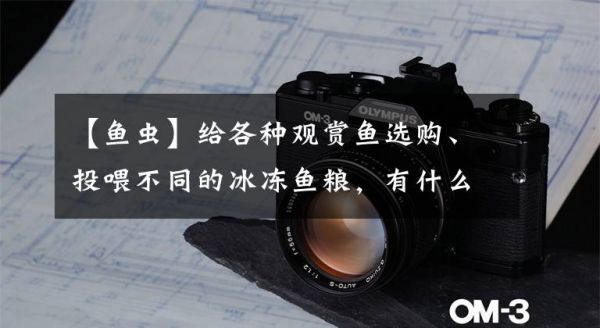 【鱼虫】给各种观赏鱼选购、投喂不同的冰冻鱼粮，有什么注意事项？文章配图