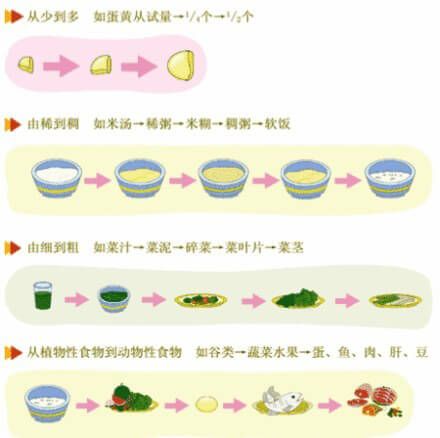 辅食添加顺序 怎样添加辅食
