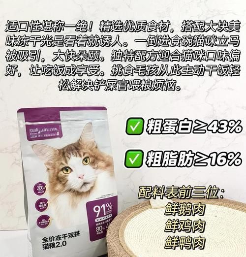 猫粮中添加什么辅食既美味又营养？如何制作？