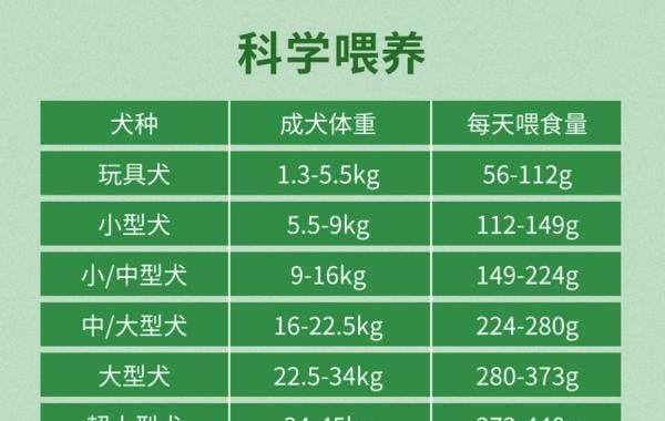如何补充成犬所需的营养素（为您的成犬提供均衡的营养，让它健康快乐）