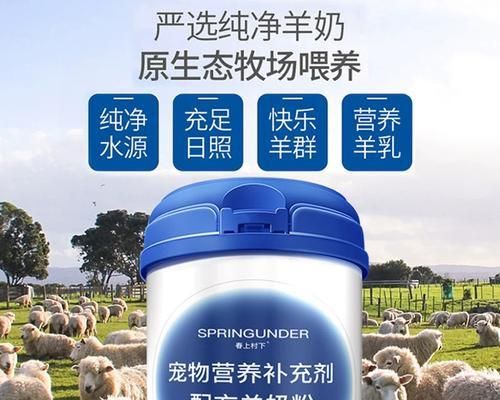 如何补充成犬所需的营养素（为您的成犬提供均衡的营养，让它健康快乐）