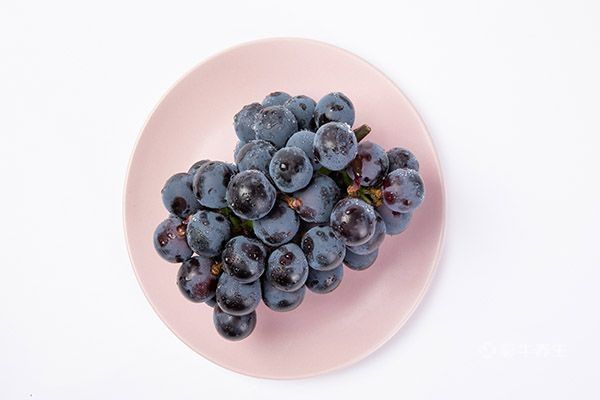  轻断食食谱大全一周瘦10斤 轻断食食谱餐单简易版