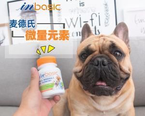 狗狗钙片，可以随便吃吗（深入探究狗狗钙片的安全性和正确使用方法）