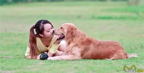 狗狗一生的5个阶段，细心呵护狗狗才能活的更好