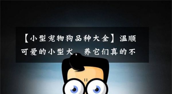 【小型宠物狗品种大全】温顺可爱的小型犬，养它们真的不会后悔，真像是个孩子似的文章配图