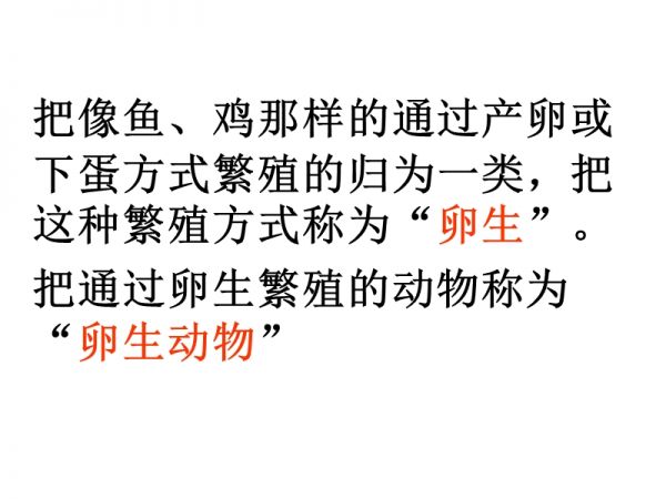 动物的繁殖活动.ppt_第1页