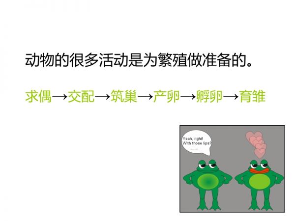 动物的繁殖活动.ppt_第5页