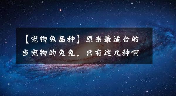 【宠物兔品种】原来最适合的当宠物的兔兔，只有这几种啊？