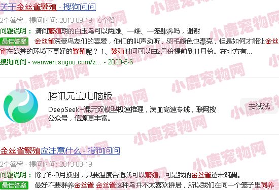金丝雀鸟的饲养繁殖