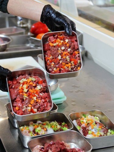 从金融大咖到宠物餐桌，TA用爱心烹饪萌宠餐！