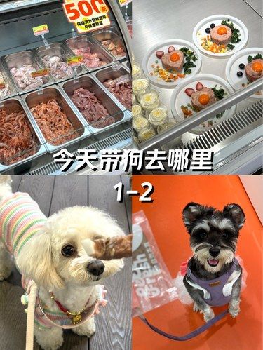 打卡宠物界的“盒马”超市！