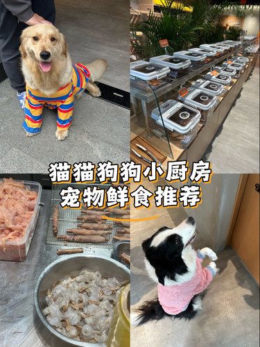 不用去徐滨！前滩也有宠物鲜食店啦！