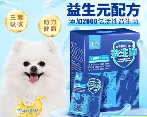小宠物狗的营养品选择与重要性（保障小宠物狗健康，正确选择营养品）