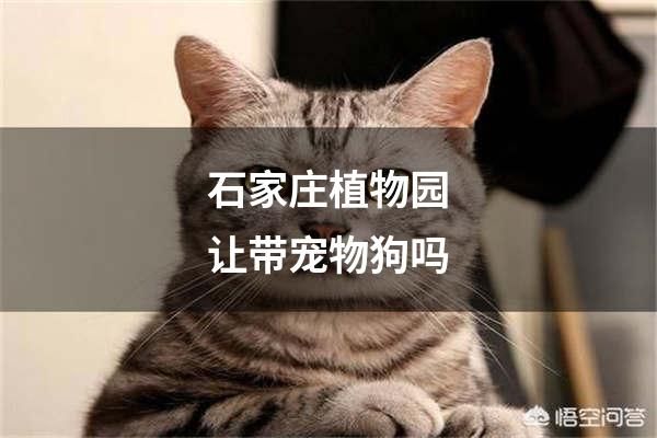 石家庄植物园让带宠物狗吗